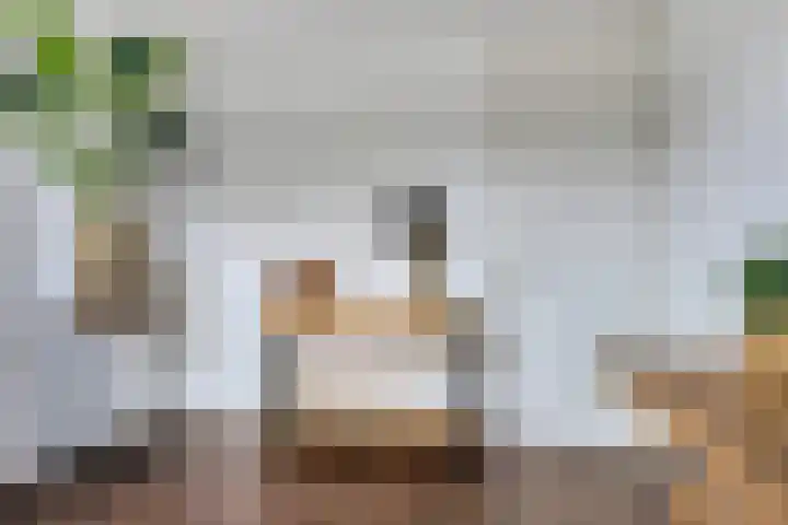 Rozenstraat 31 Bovensmilde thumbnail 32