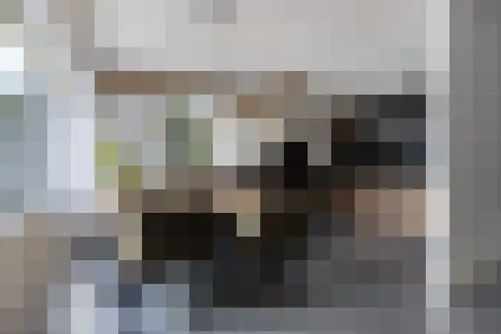 Rozenstraat 31 Bovensmilde thumbnail 7