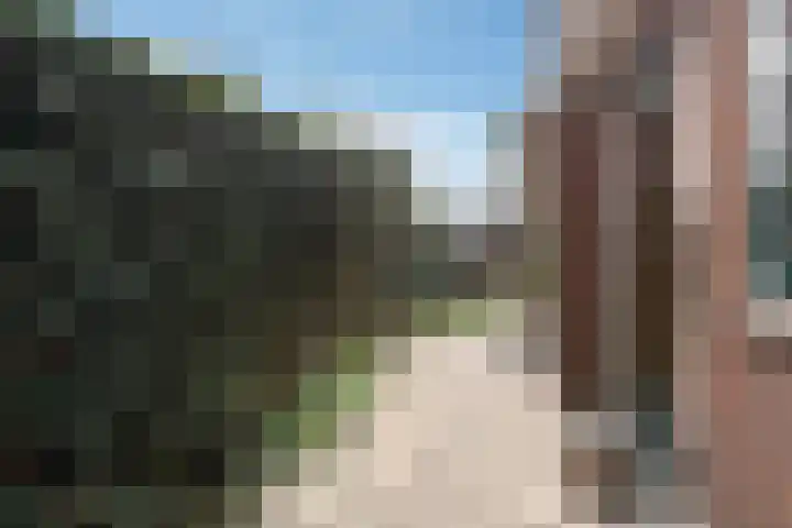 Rozenstraat 31 Woerden thumbnail 21