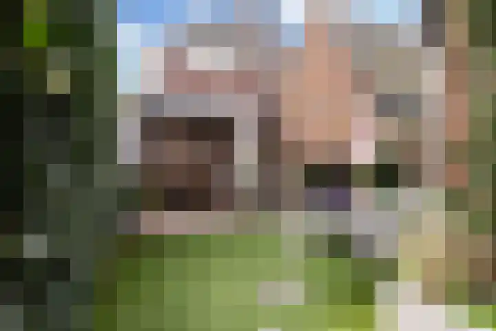 Rozenstraat 31 Woerden thumbnail 23