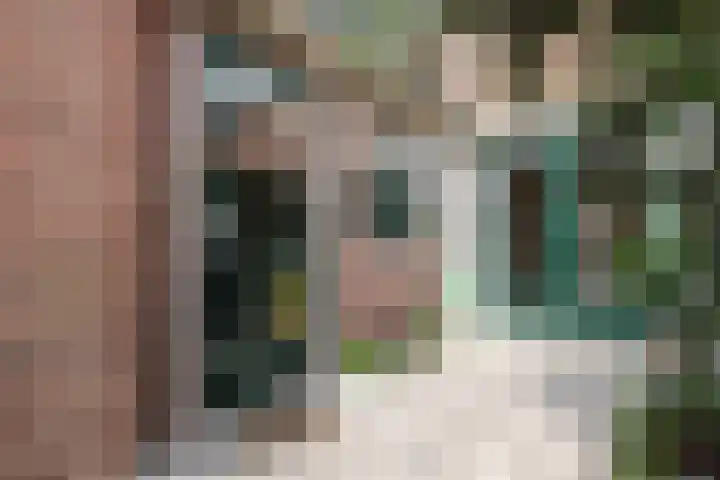 Rozenstraat 31 Woerden thumbnail 27
