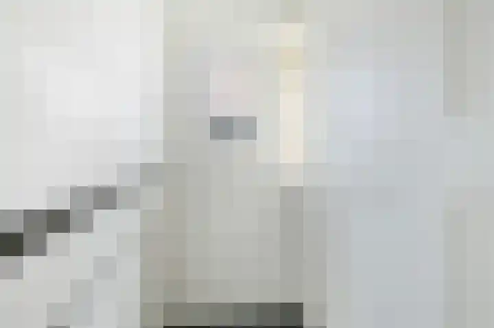 Rozenstraat 31 Woerden thumbnail 6