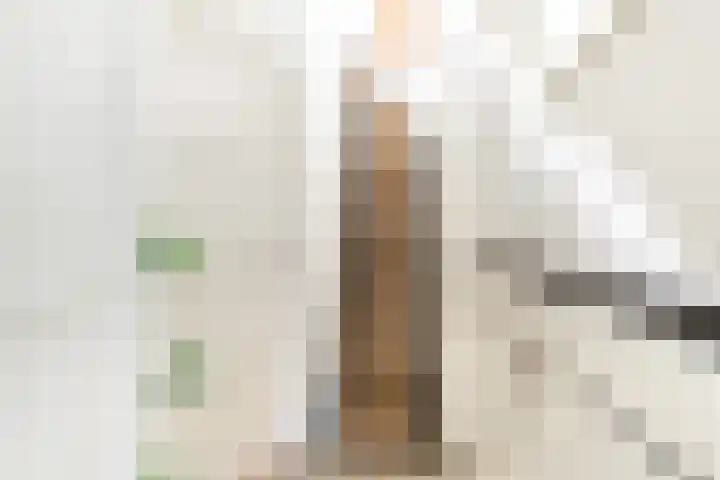 Rozenstraat 31 Woerden thumbnail 7