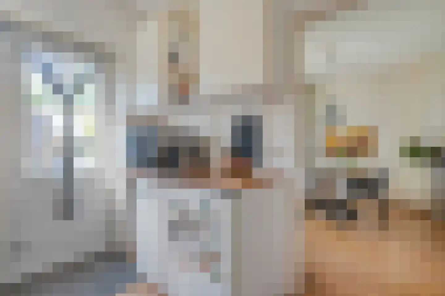 Rozenstraat 32 Dedemsvaart thumbnail 14