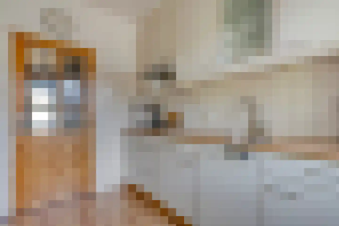 Rozenstraat 32 Dedemsvaart thumbnail 15