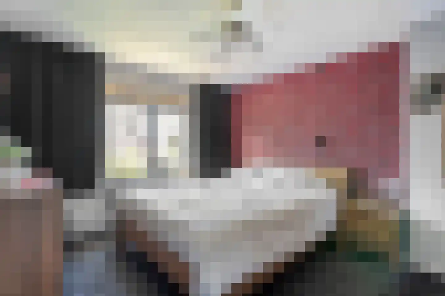 Rozenstraat 32 Dedemsvaart thumbnail 19
