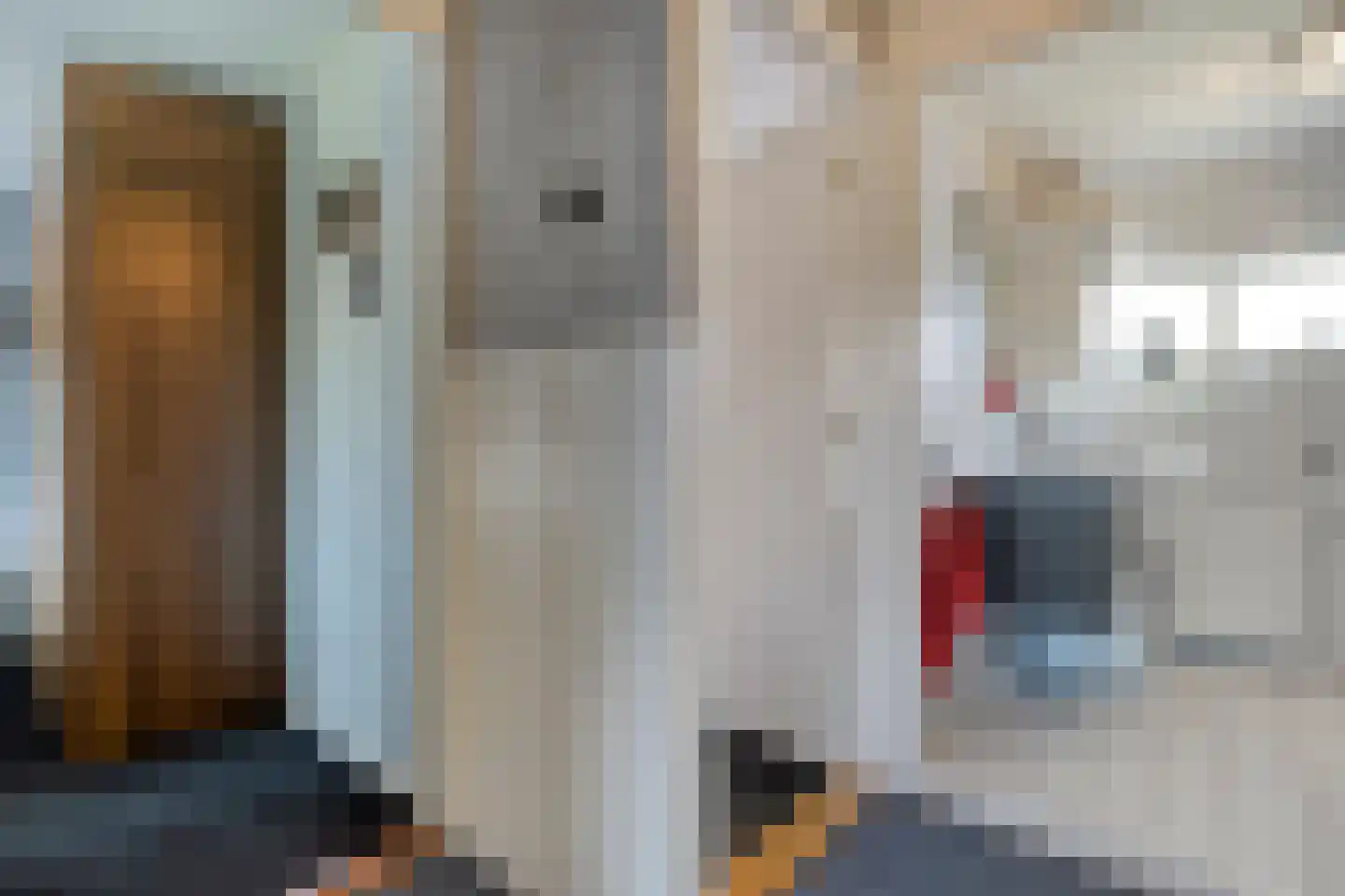 Rozenstraat 32 Dedemsvaart thumbnail 22