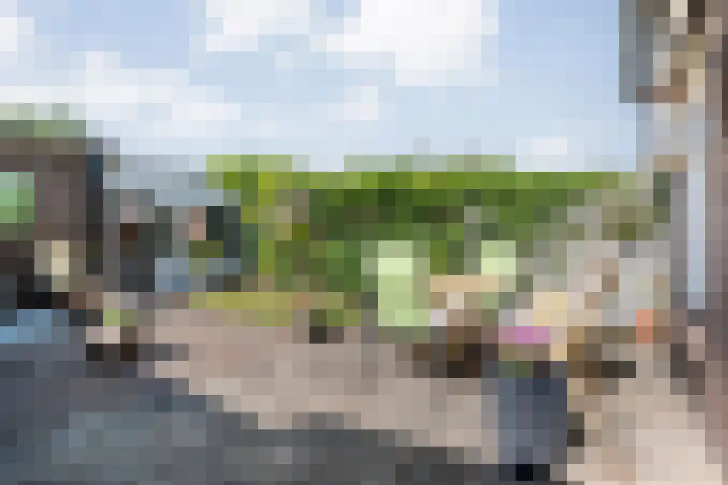 Rozenstraat 32 Dedemsvaart thumbnail 30