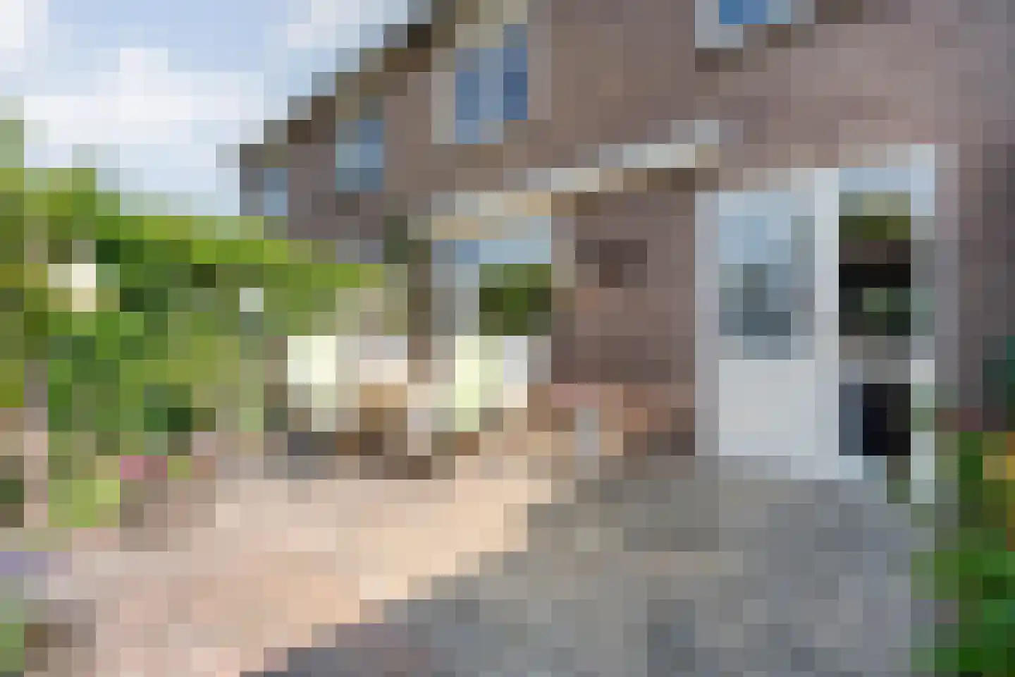 Rozenstraat 32 Dedemsvaart thumbnail 32