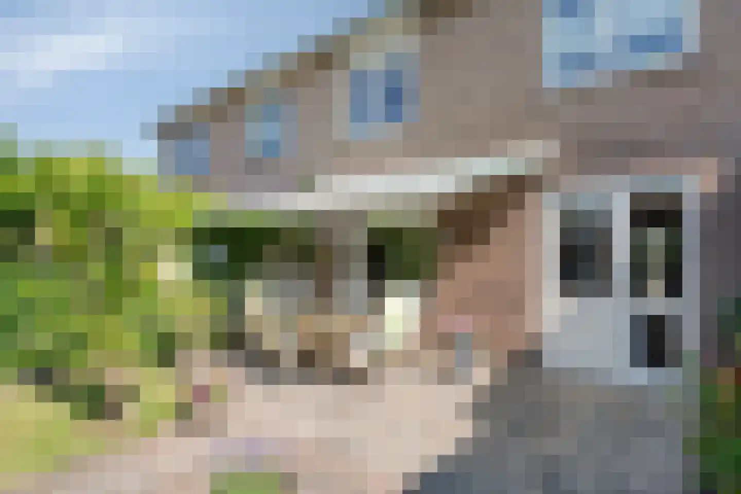 Rozenstraat 32 Dedemsvaart thumbnail 37