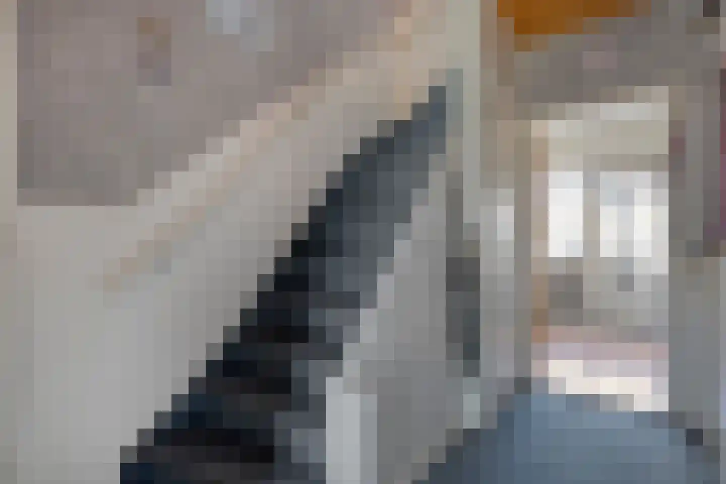 Rozenstraat 32 Dedemsvaart thumbnail 5