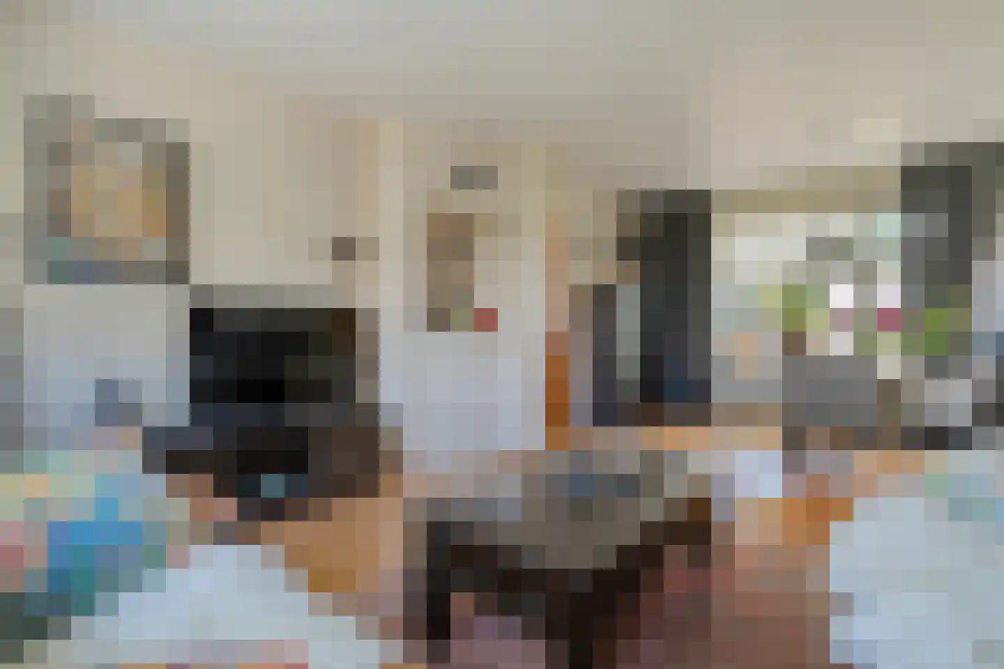 Rozenstraat 32 Dedemsvaart thumbnail 9