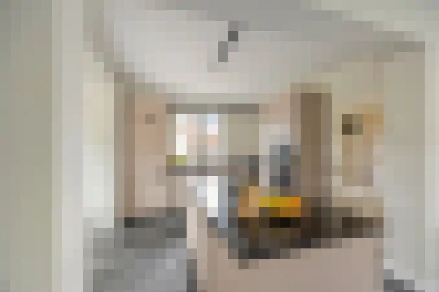 Rozenstraat 32 Echt thumbnail 15