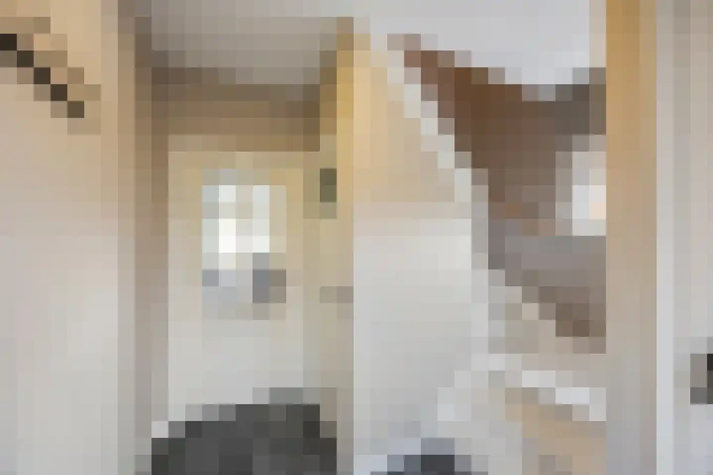 Rozenstraat 32 Echt thumbnail 20