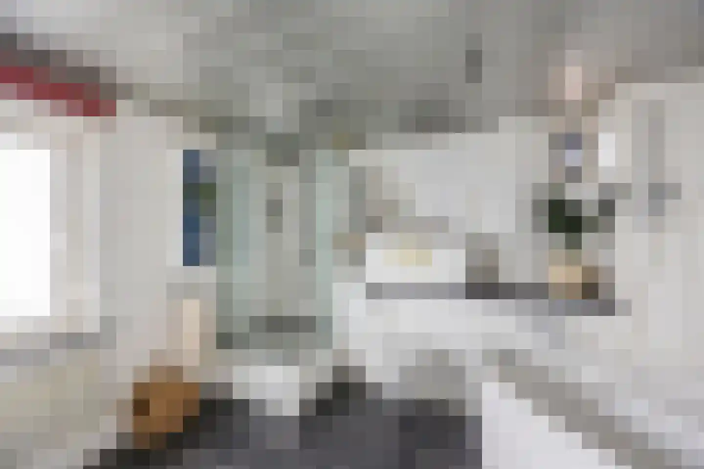 Rozenstraat 32 Echt thumbnail 28
