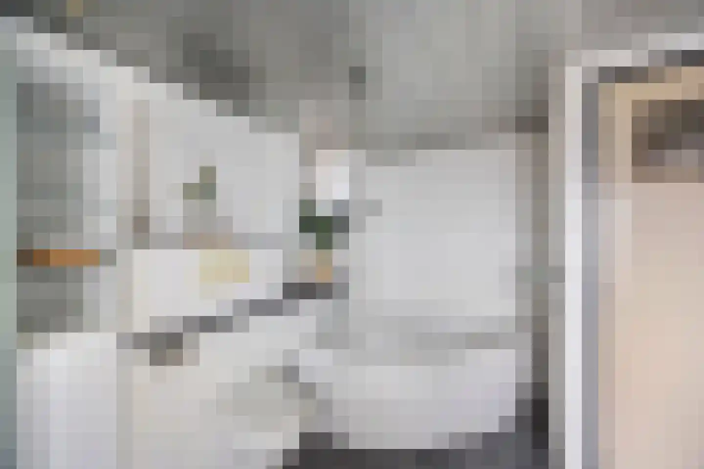 Rozenstraat 32 Echt thumbnail 30