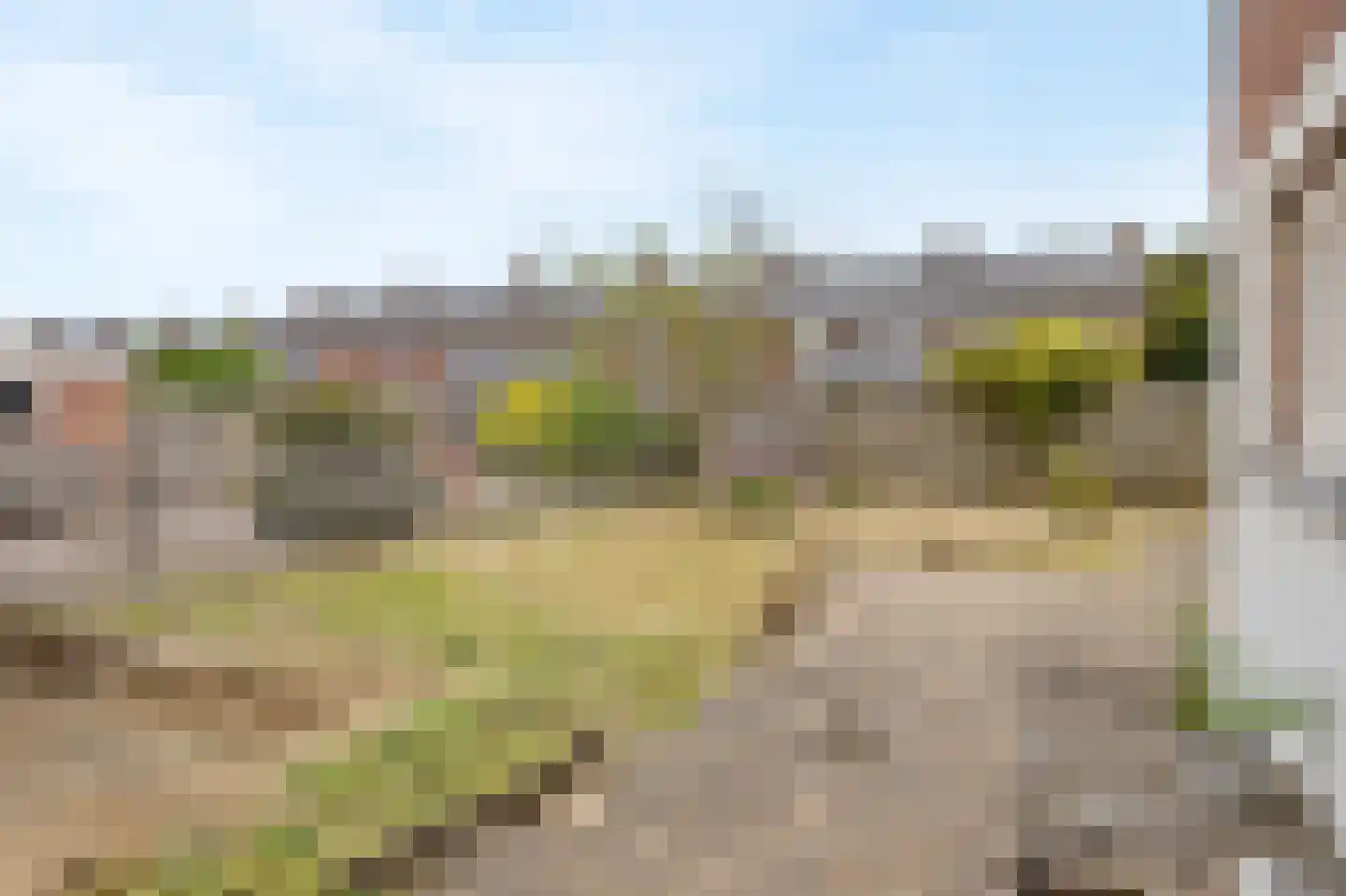 Rozenstraat 32 Echt thumbnail 31