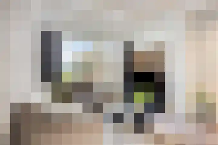 Rozenstraat 32 Veenendaal thumbnail 4