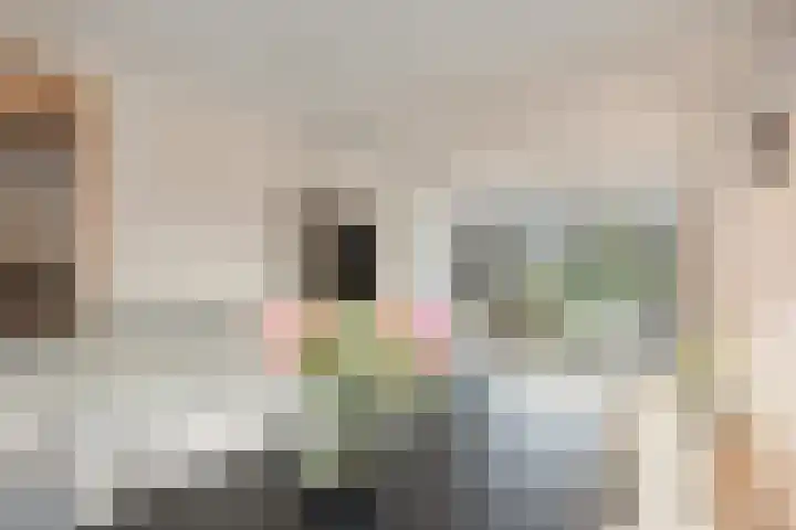 Rozenstraat 32 Veenendaal thumbnail 9