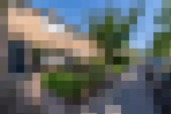 Rozenstraat 33 Veenendaal thumbnail 4