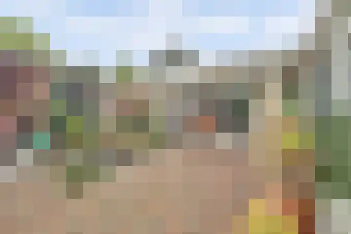 Rozenstraat 34 Didam thumbnail 26