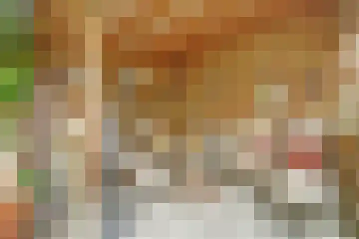Rozenstraat 34 Didam thumbnail 27