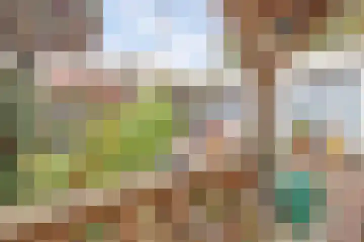 Rozenstraat 34 Didam thumbnail 28