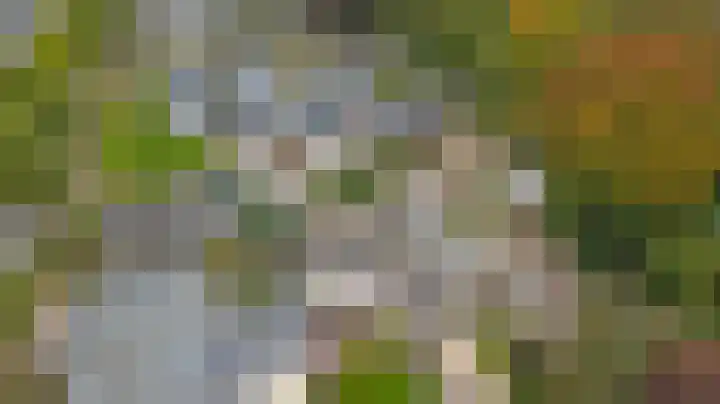 Rozenstraat 34 Didam thumbnail 35