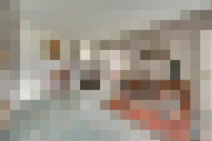 Rozenstraat 34 Didam thumbnail 8