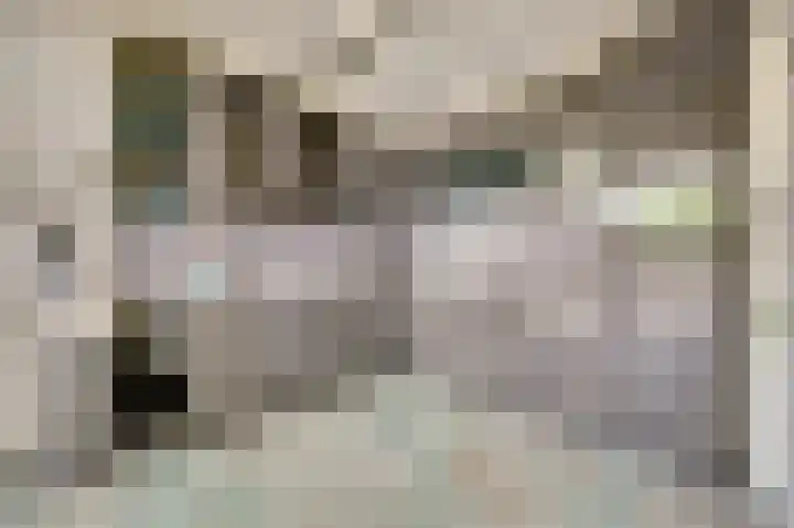 Rozenstraat 34 Didam thumbnail 9