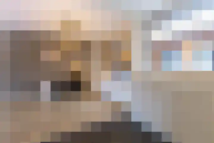Rozenstraat 35 Putte thumbnail 17