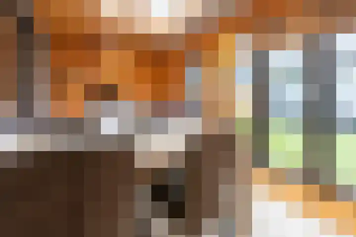 Rozenstraat 35 Putte thumbnail 18