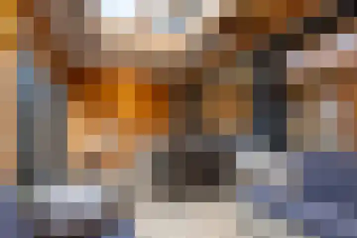 Rozenstraat 35 Putte thumbnail 20