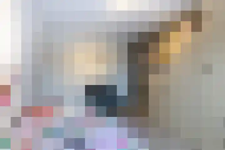 Rozenstraat 35 Putte thumbnail 32