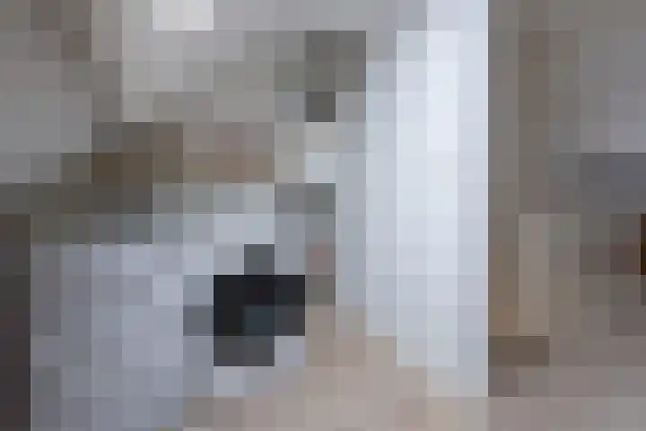 Rozenstraat 35 Putte thumbnail 37