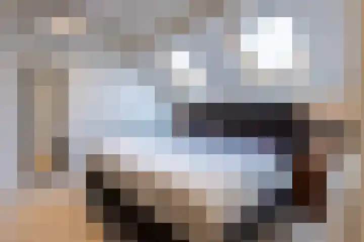 Rozenstraat 35 Putte thumbnail 39