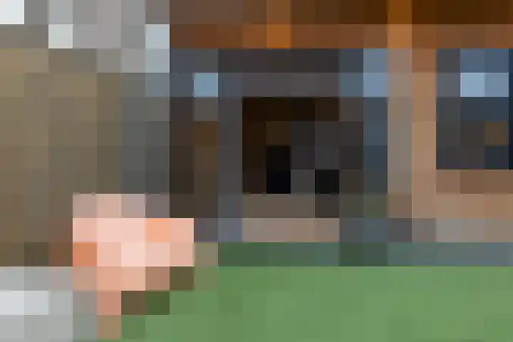 Rozenstraat 35 Putte thumbnail 43