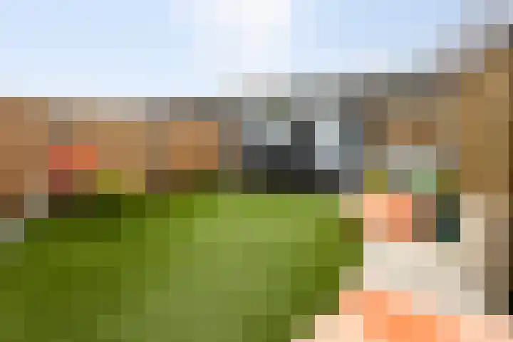 Rozenstraat 35 Putte thumbnail 45