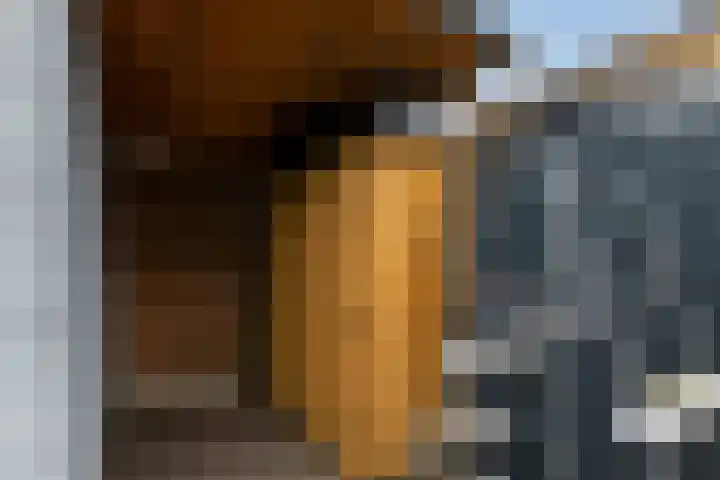 Rozenstraat 35 Putte thumbnail 47