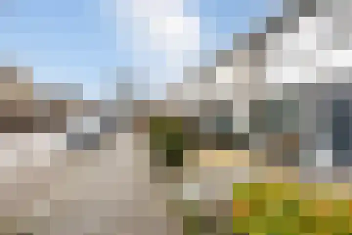 Rozenstraat 35 Putte thumbnail 51