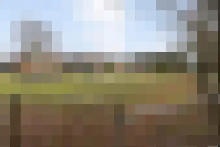 Rozenstraat 35 Putte thumbnail 52