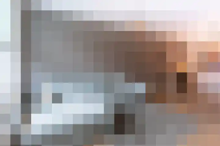 Rozenstraat 35 Putte thumbnail 8