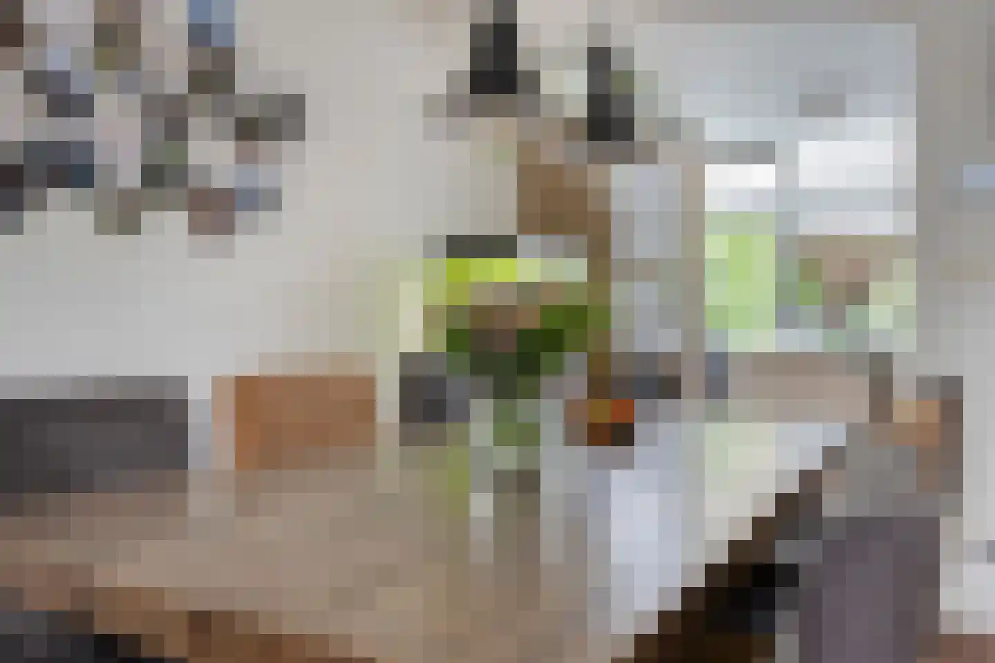 Rozenstraat 36 Barneveld thumbnail 9