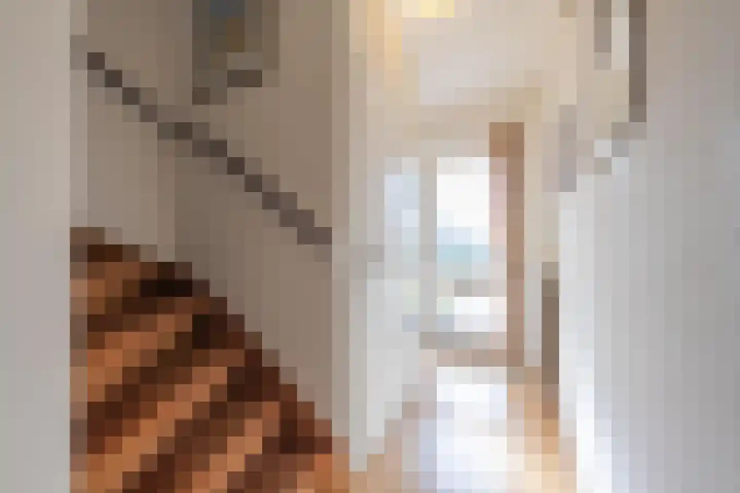 Rozenstraat 36 Beneden-Leeuwen thumbnail 23