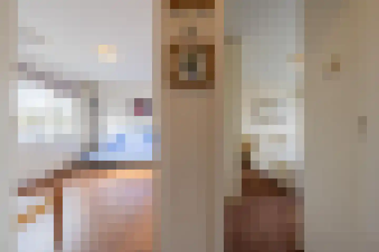 Rozenstraat 36 Beneden-Leeuwen thumbnail 26