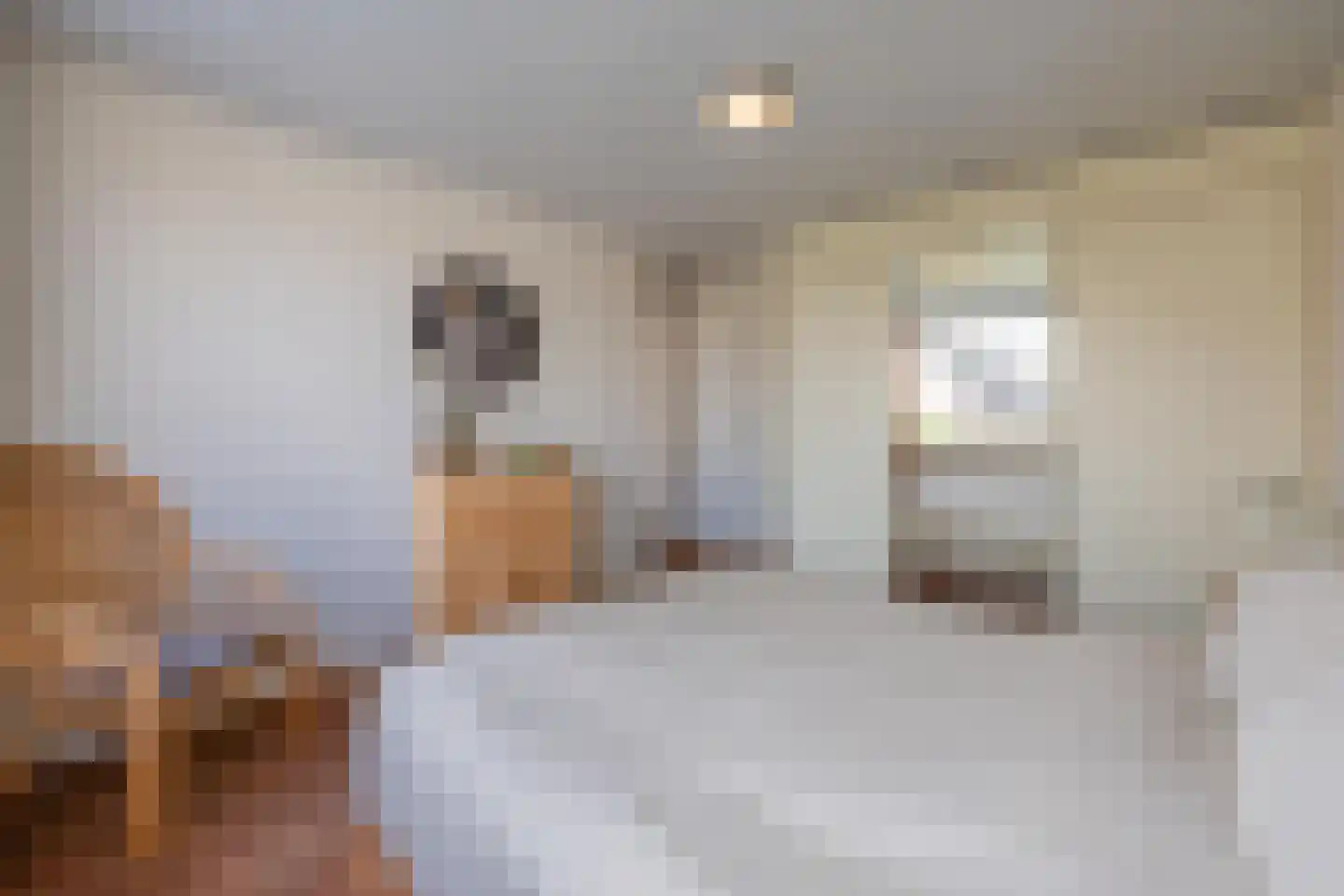 Rozenstraat 36 Beneden-Leeuwen thumbnail 27