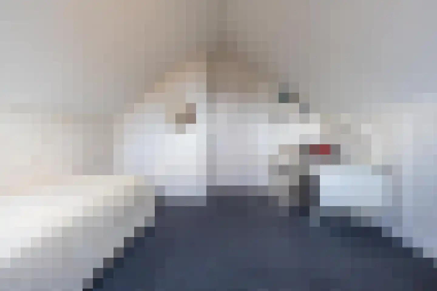 Rozenstraat 36 Beneden-Leeuwen thumbnail 37