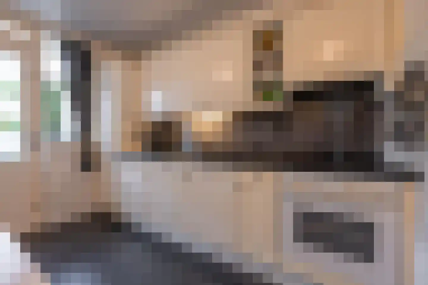 Rozenstraat 36 Beneden-Leeuwen thumbnail 4