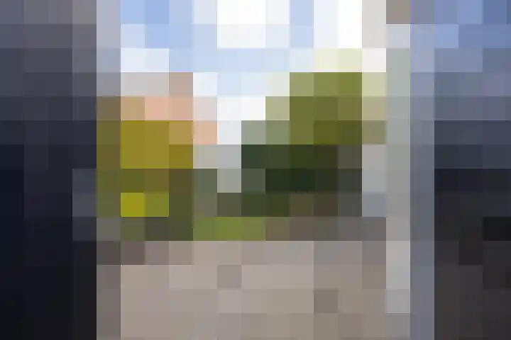 Rozenstraat 36 Beneden-Leeuwen thumbnail 43