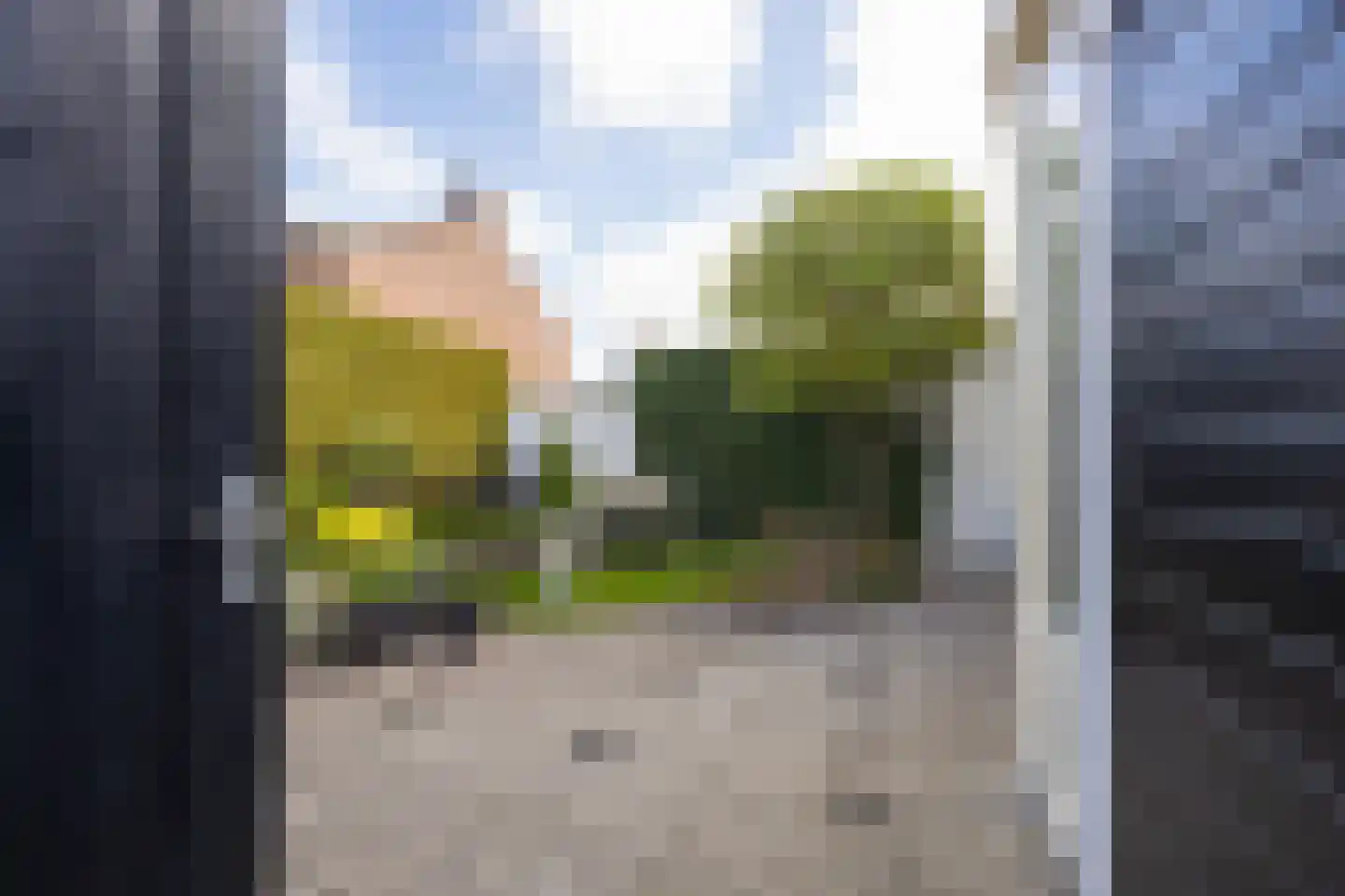 Rozenstraat 36 Beneden-Leeuwen thumbnail 43